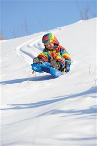 Dantoy Bobsläde / pulka Jet med bromsar 84 cm för barn (blandade färger)-3